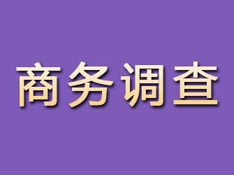 保康商务调查